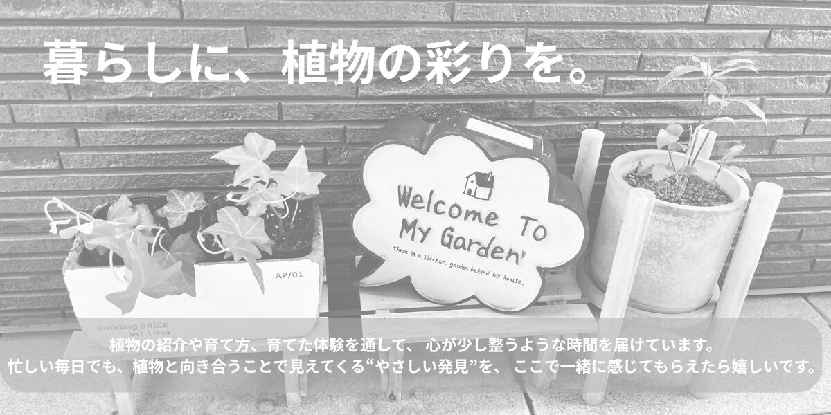 tkブログ