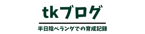 tkブログ
