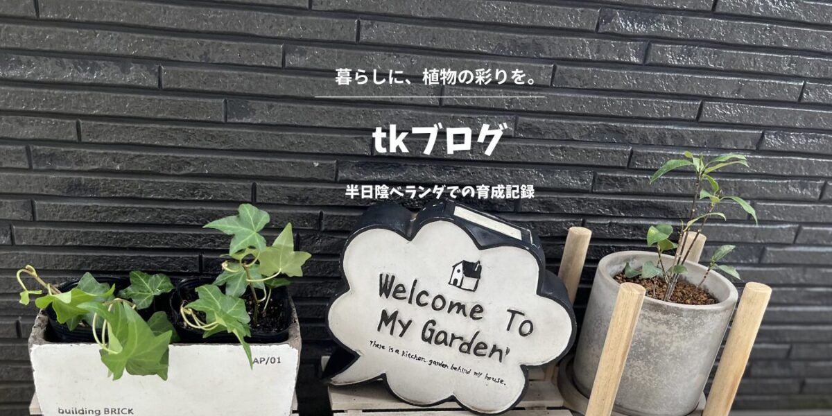 tkブログ
