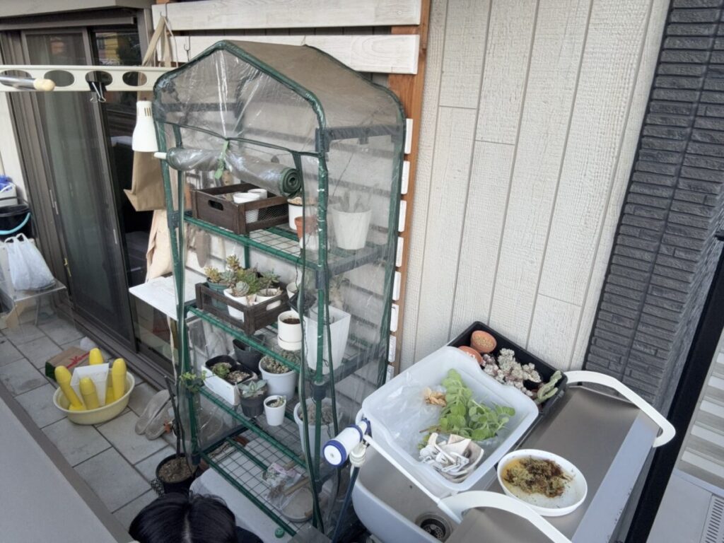 ベランダに設置した植物の冬越し用ビニールハウス