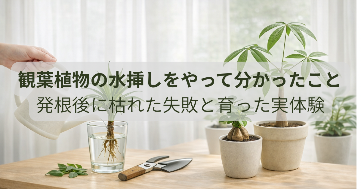 houseplants-water-propagation-experience.jpg